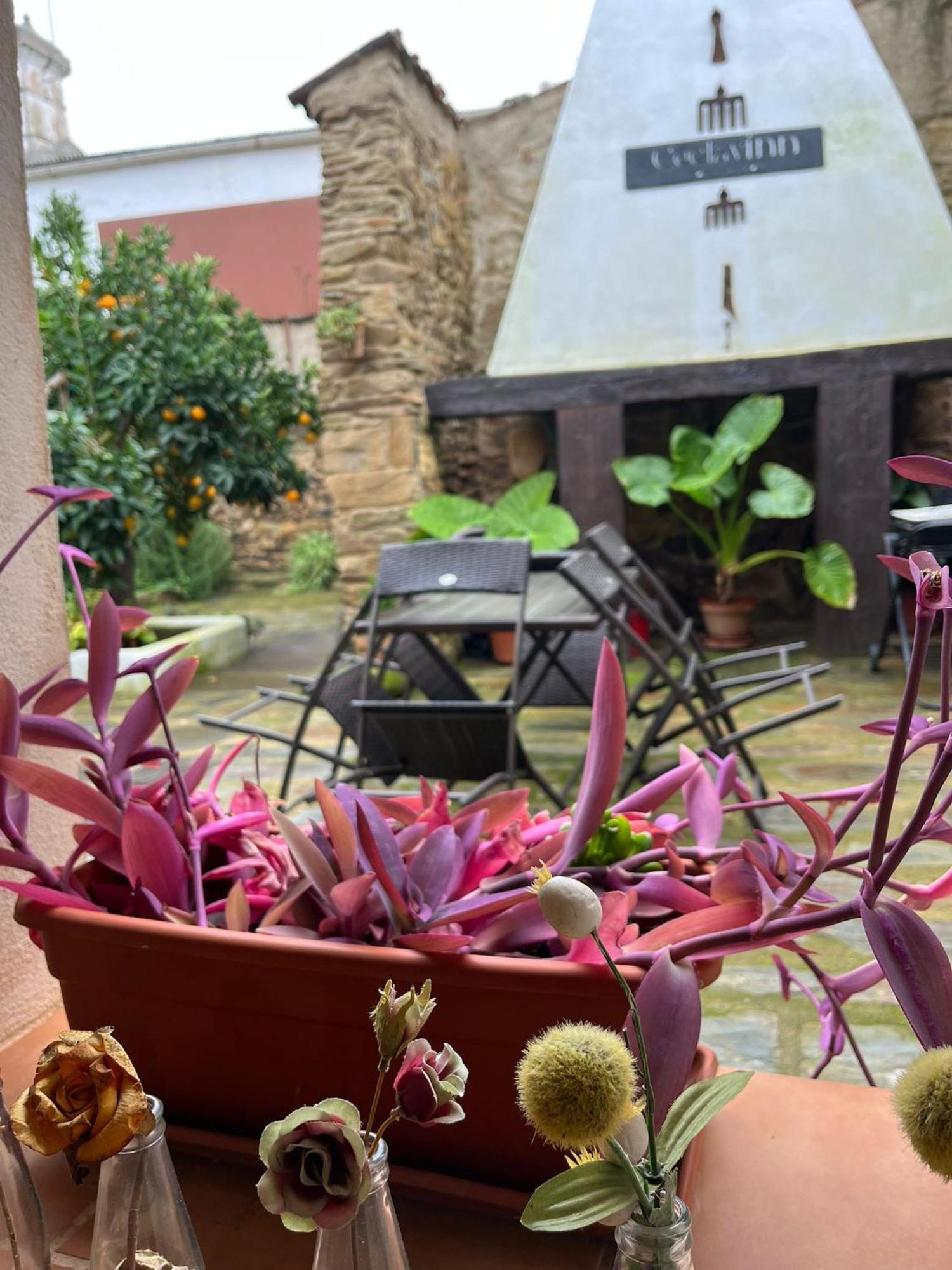 Ceclavinn Casa Rural מראה חיצוני תמונה
